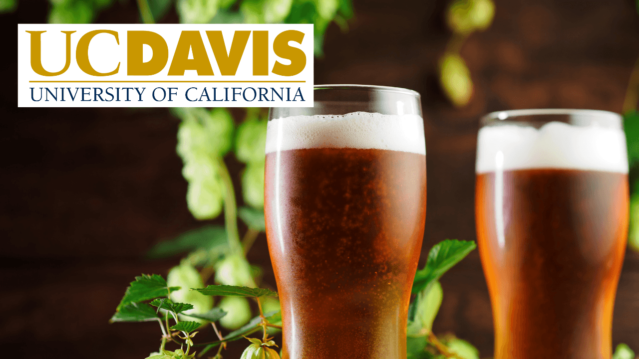 Beer Quality: Freshness