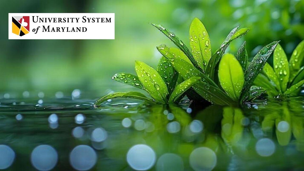 Sustainable Environmental Project Management Specialization