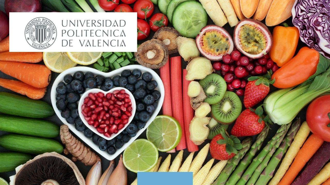 FlashDiet: Learn Healthy Eating