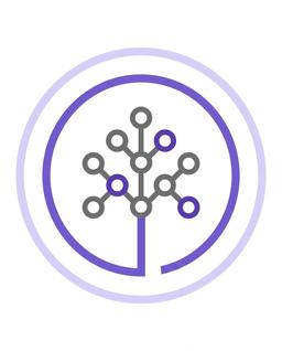 IBM Skills Network Team