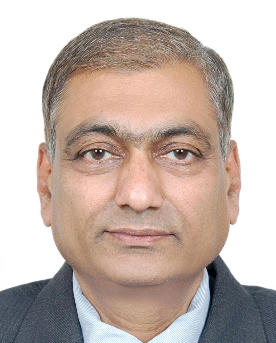 Narendra S. Chaudhari